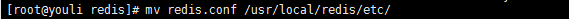 Linux安装redis和部署