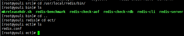 Linux安装redis和部署