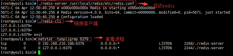 Linux安装redis和部署