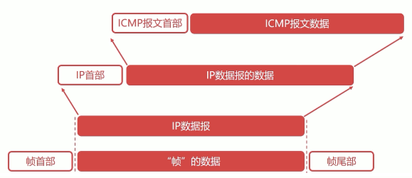 计算机网络之网络层