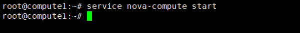 openstack服务启动之nova-compute