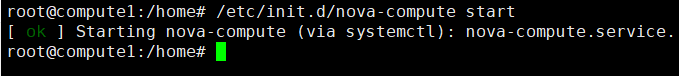 openstack服务启动之nova-compute
