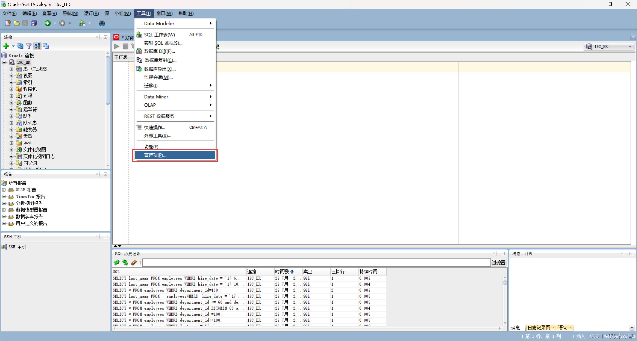 Sql Developer日期显示格式问题