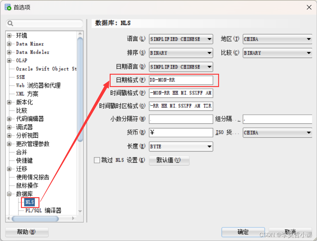 Sql Developer日期显示格式问题