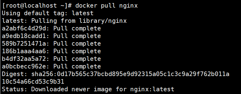 Docker无介绍快使用，docker拉取Nginx（六）