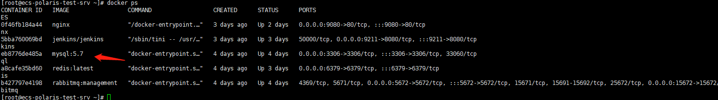 docker 安装 mysql