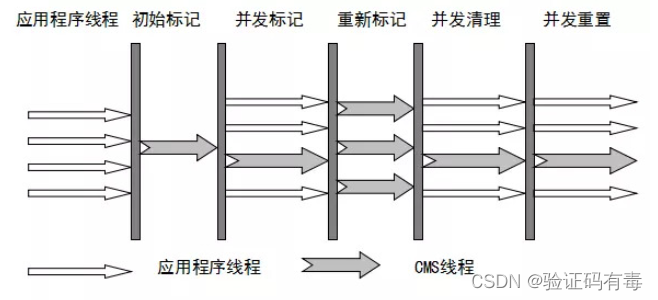 CMS过程