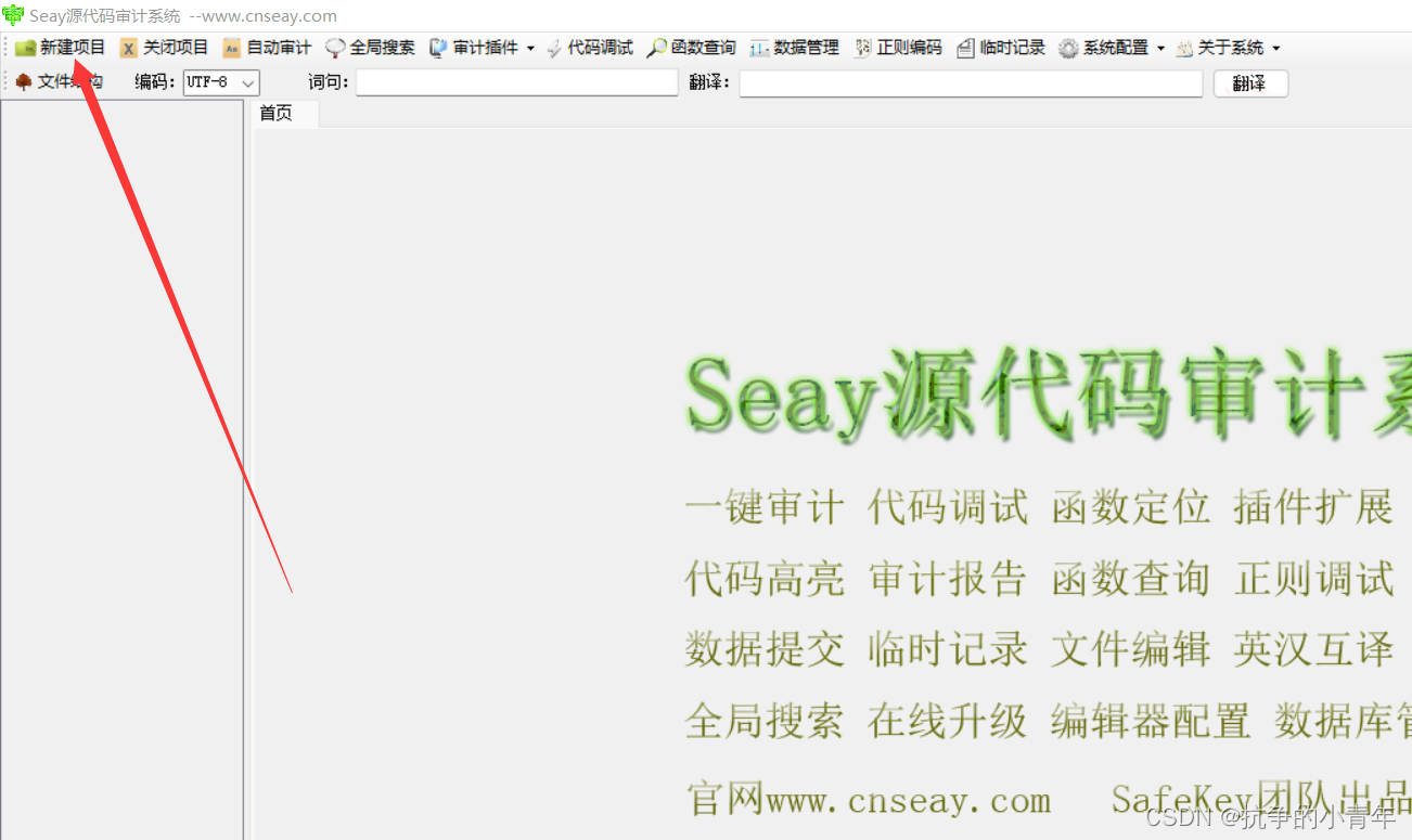 图4.3 Seay中新建项目