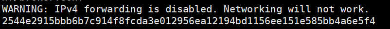 Docker出现WARNING: IPv4 forwarding is disabled. Networking will not work解决方案